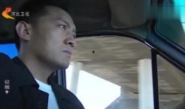 征服在线观看完整版高清,巅峰对决，谁主沉浮？